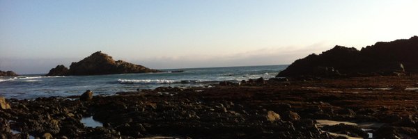 DansPalace Profile Banner