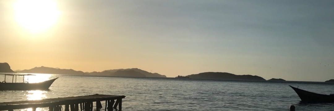 DaniPan1's profile banner image