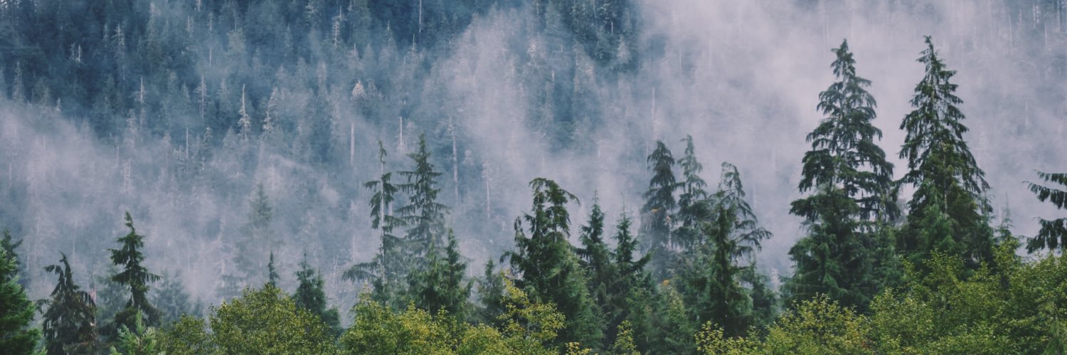 LilyAey's profile banner image