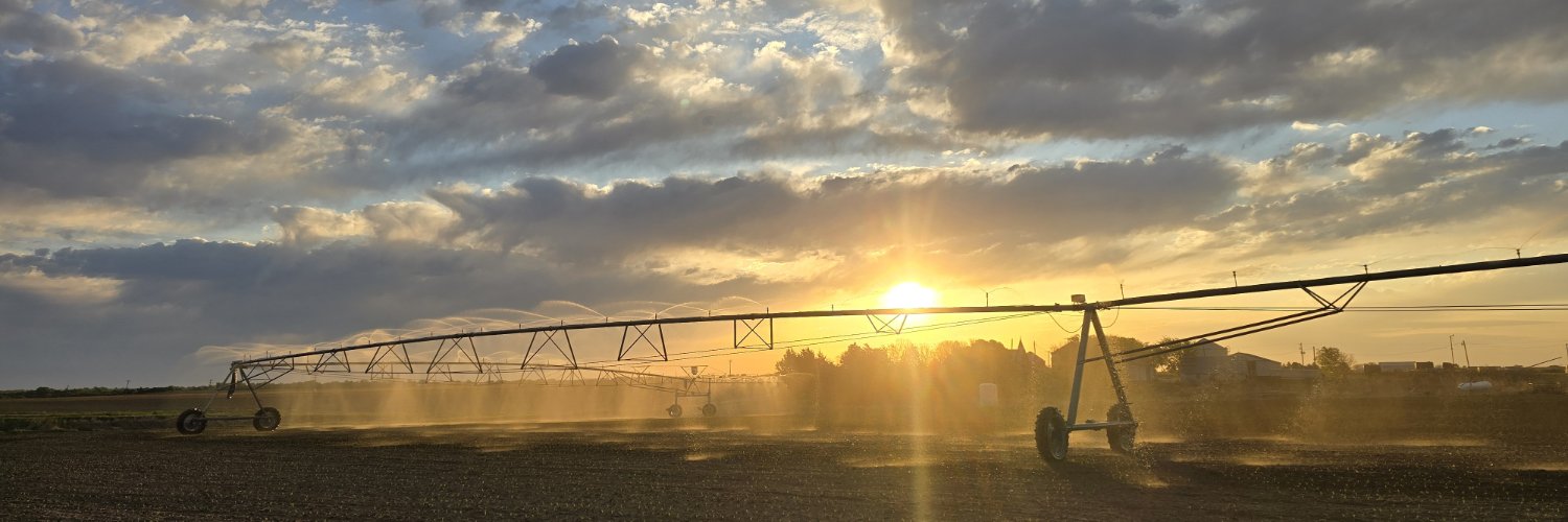 Cornfrmr's profile banner image