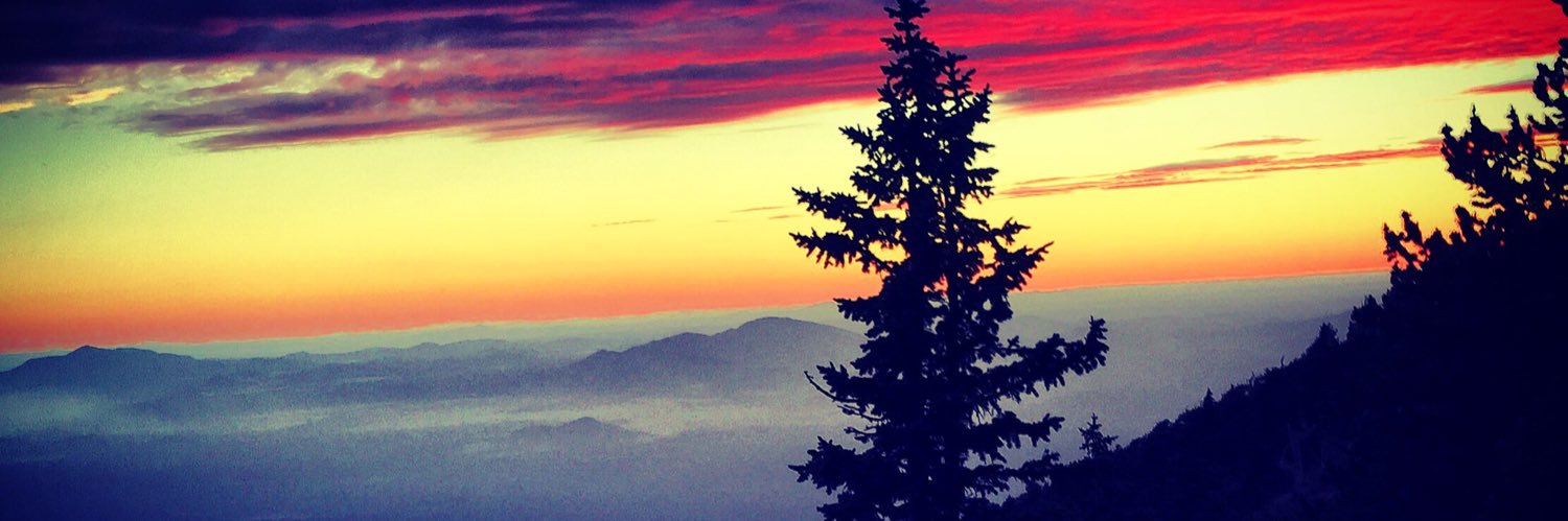 Joey P Whelan banner