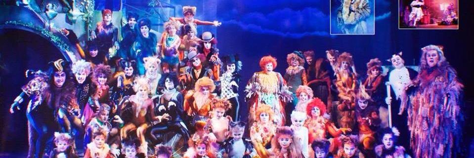 SkellyLewis's profile banner image