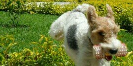 Ferley3's profile banner image