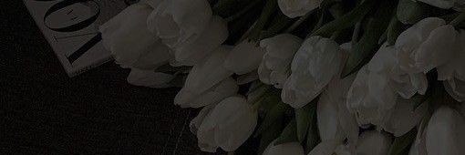 Ana_pm_'s profile banner image