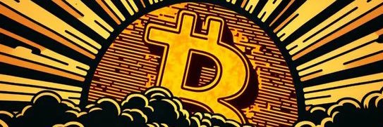 0xTonyH's profile banner image