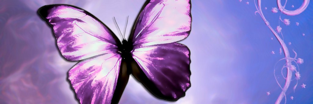 DLuz_Luna's profile banner image
