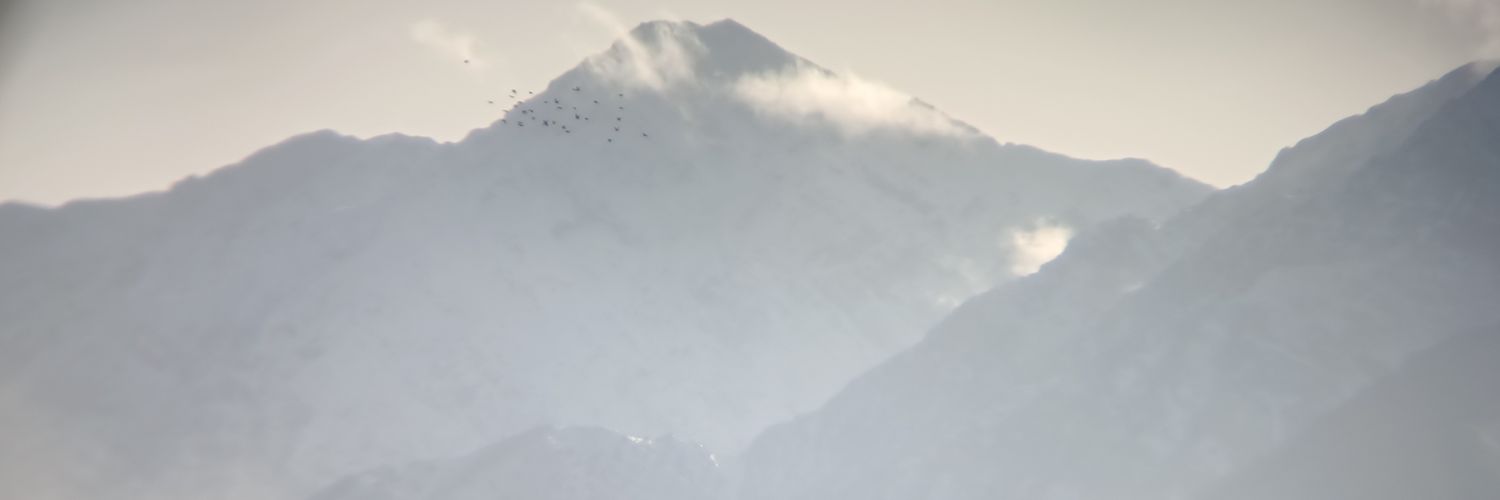 yaraco123's profile banner image