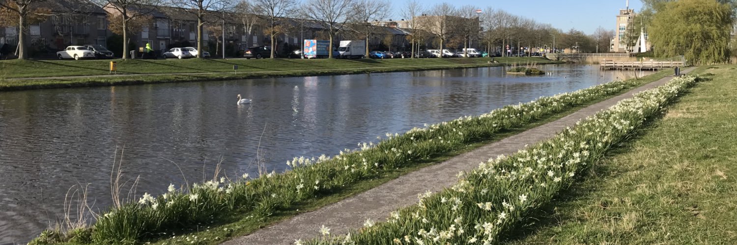 Rot van Rotterdam banner