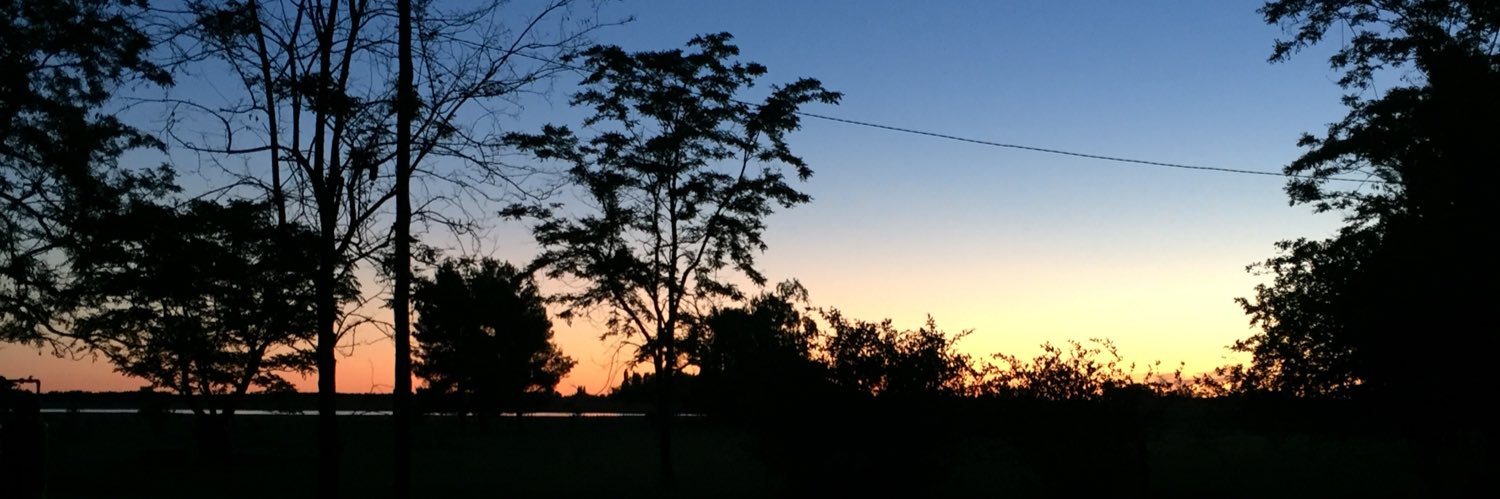 catAK__'s profile banner image