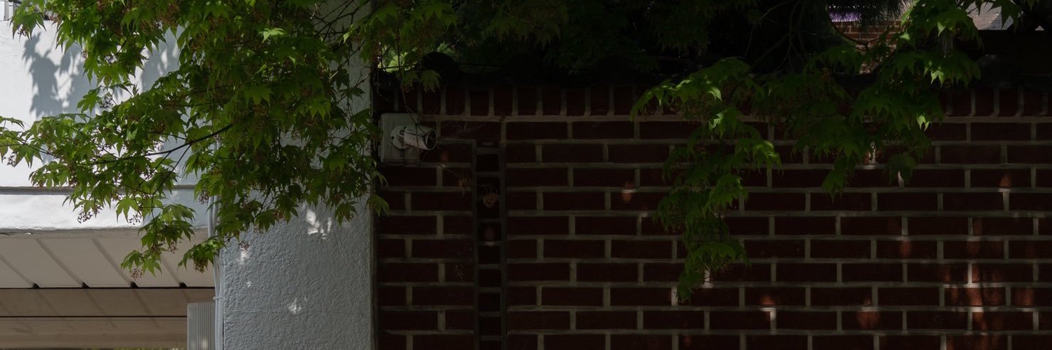 diluuy's profile banner image