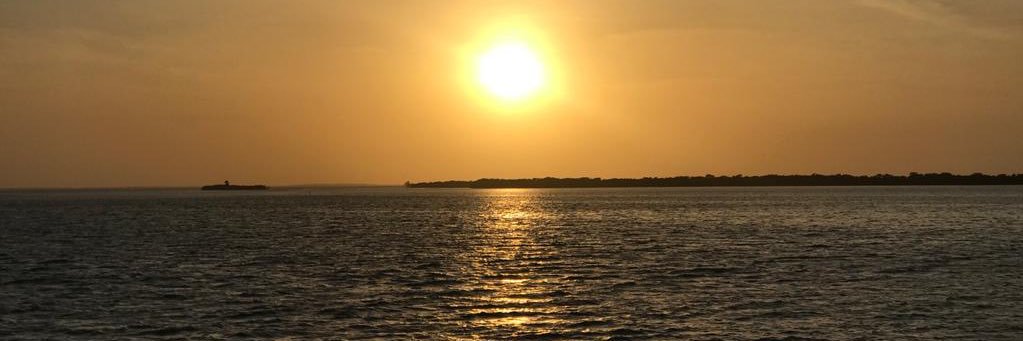 jefe_delmo's profile banner image