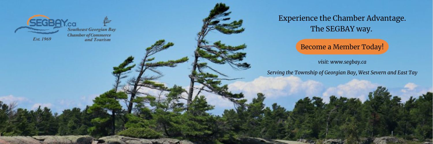 infoSegbay's profile banner image