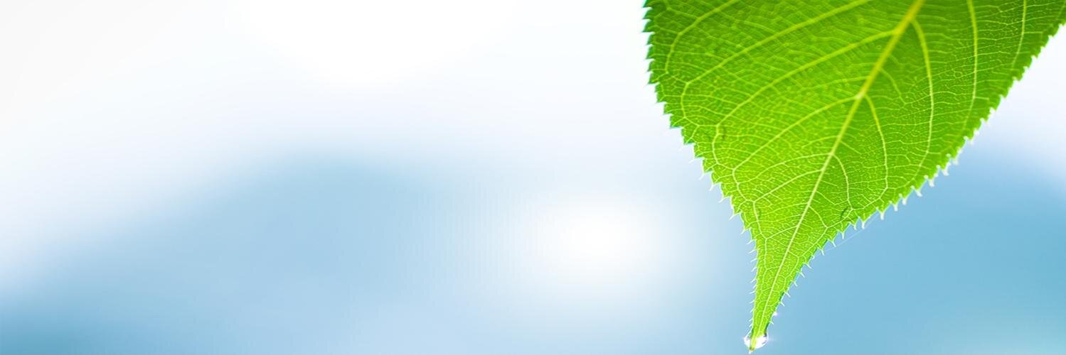 BurhanEray34's profile banner image
