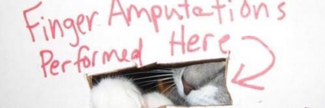 Qwack79's profile banner image