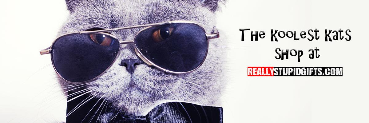Really Stupid Gifts banner