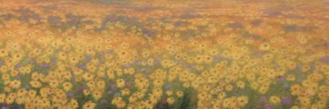brightwhitney's profile banner image