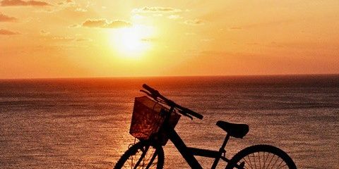 Alex97Gtz's profile banner image