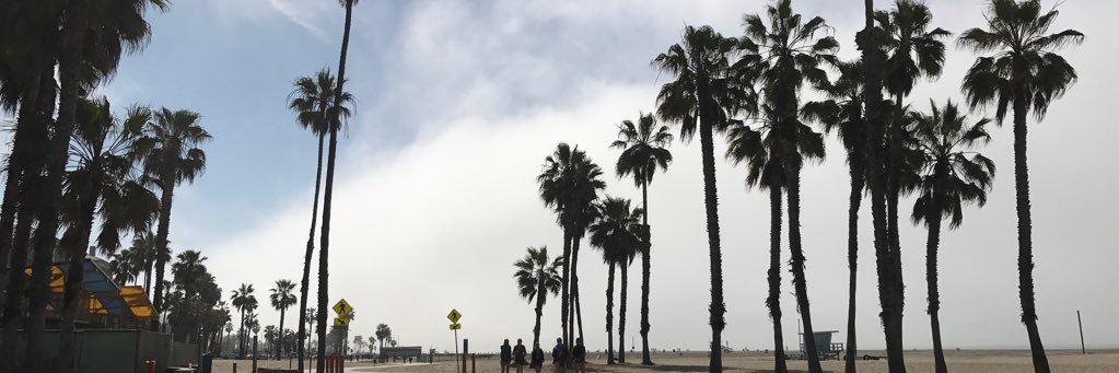 mflopifernandez's profile banner image