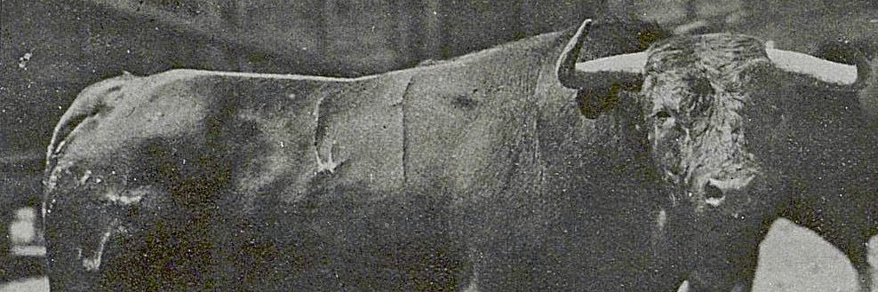 Vicente Sánchez 🇪🇸⚔️ banner