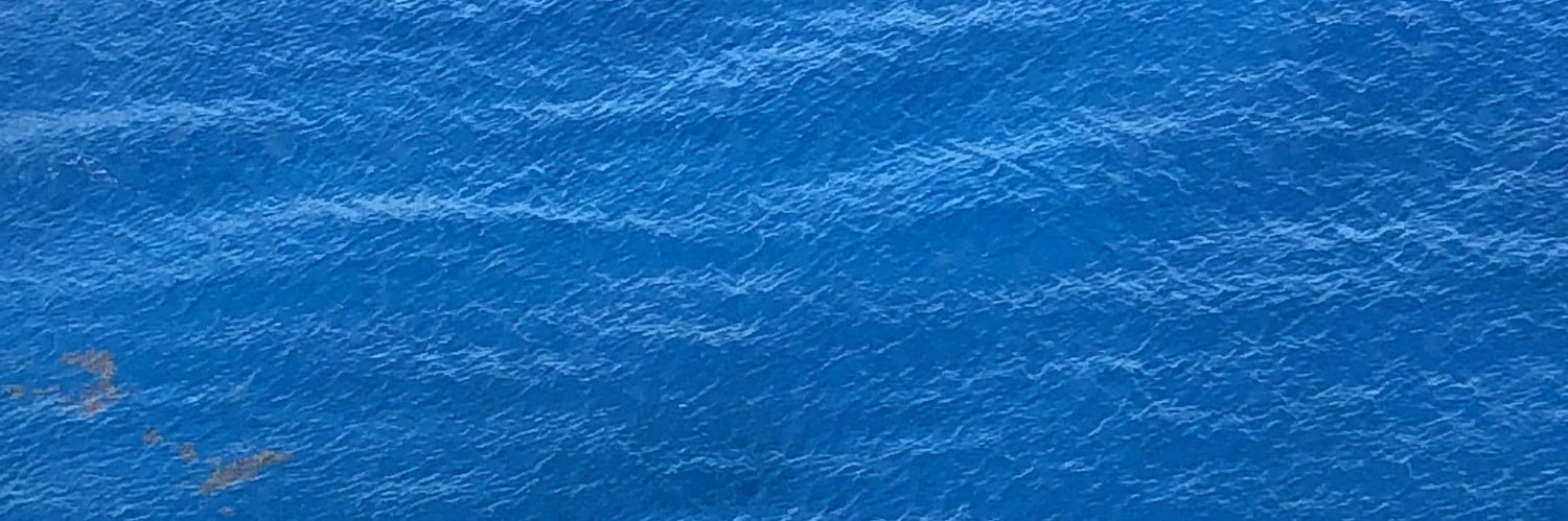 knight_ann's profile banner image