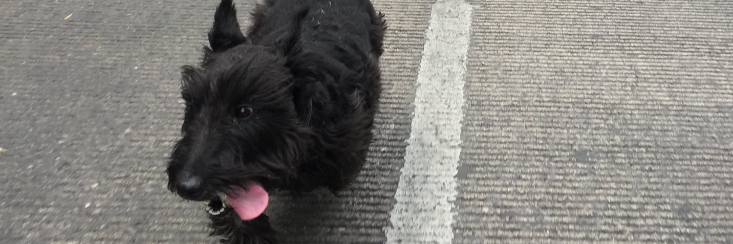 Guillermo Pérez 🌙 banner