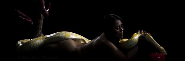 dakleton Profile Banner