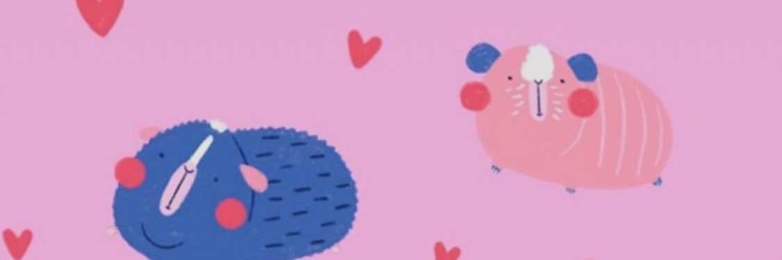 stelllllll's profile banner image