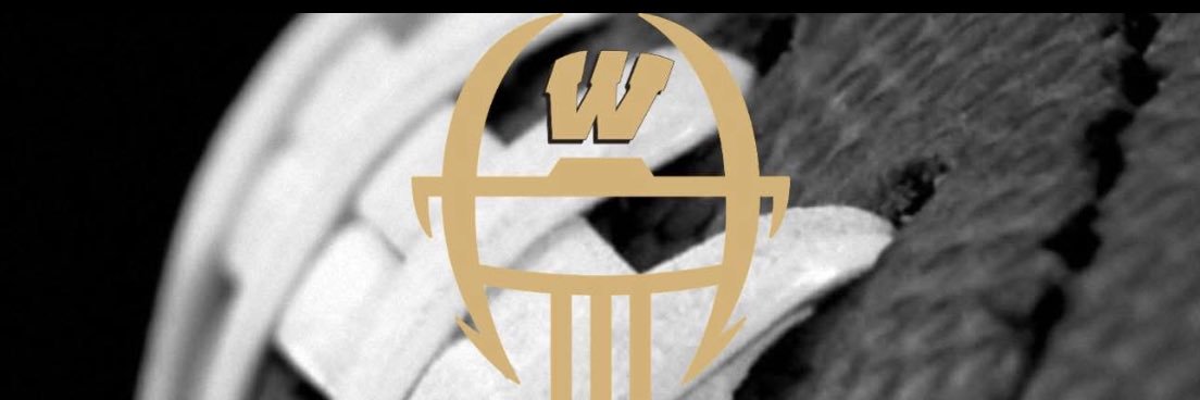 Coach Raphael banner