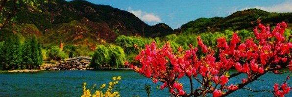 PranithPrasanna's profile banner image