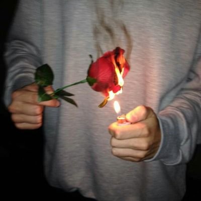 DiegoDrive__'s profile banner image