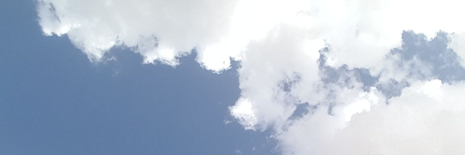 falsenidi's profile banner image