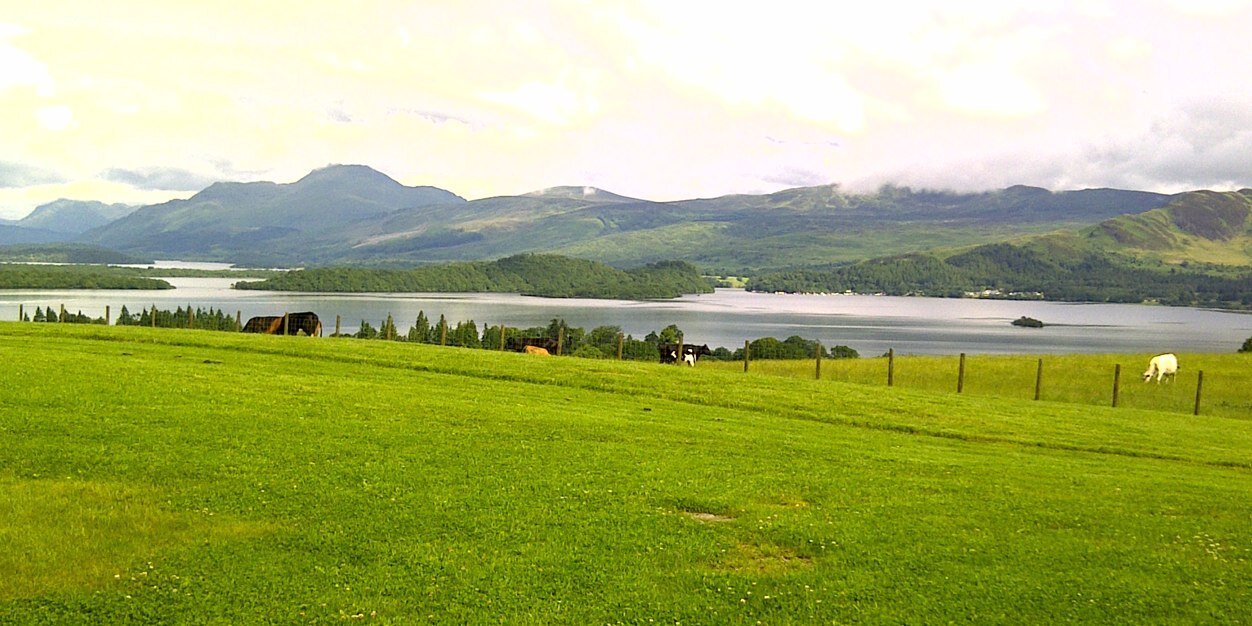 SkHogg's profile banner image