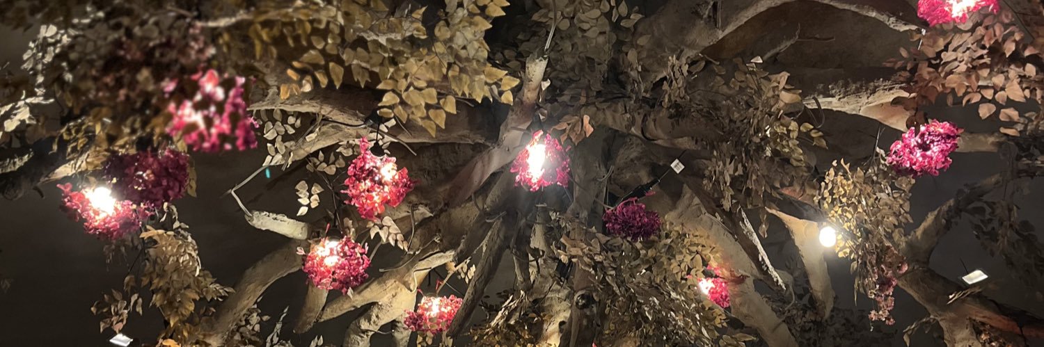 medeiroos99's profile banner image