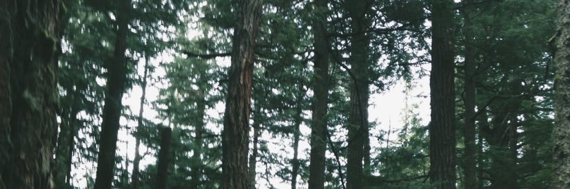 summerscott_'s profile banner image