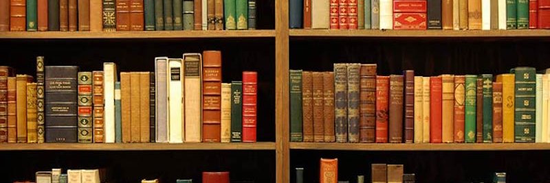 Dale Batko MBA M.Ed. 🇺🇸 banner