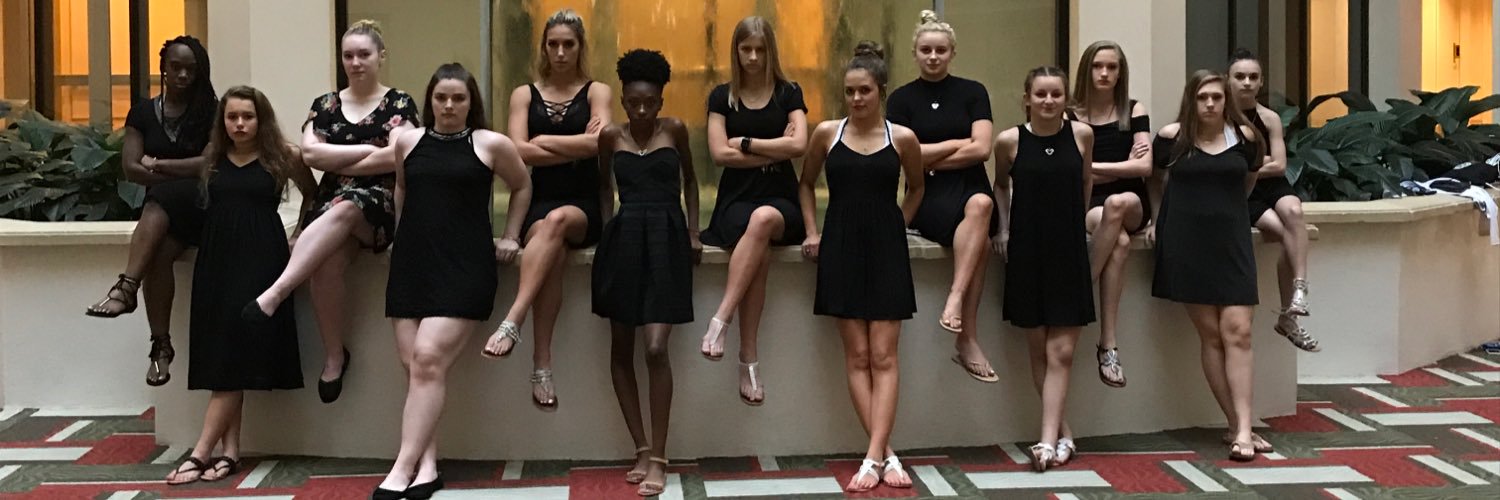 EEAcheer33's profile banner image