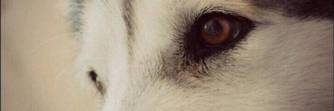 AndreaPas93's profile banner image