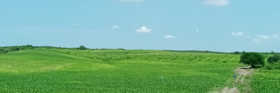 ferromanoc's profile banner image