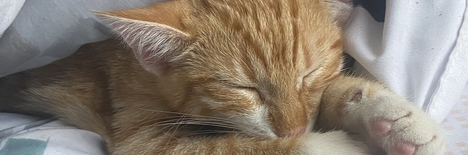 Jaquantaylorr's profile banner image