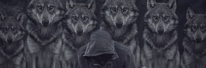 WolfPrince023's profile banner image