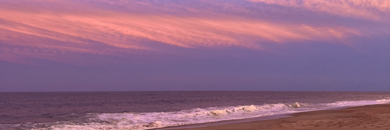 twisberger's profile banner image