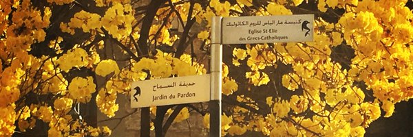 LamiaMoubayed Profile Banner