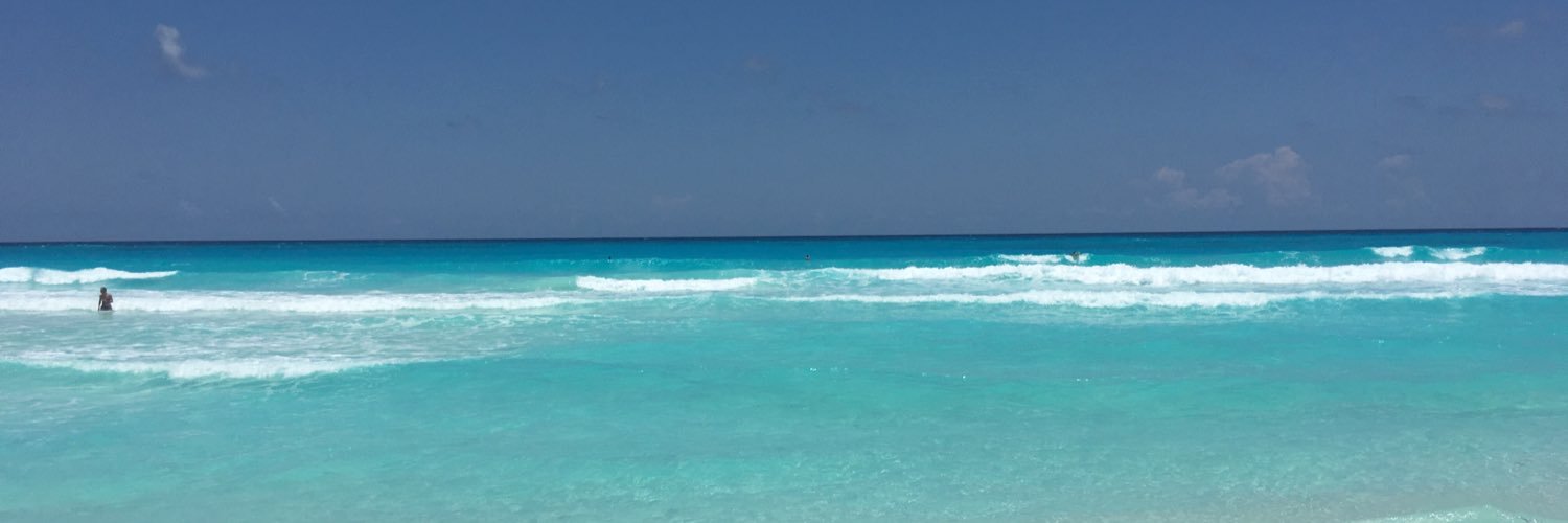 AliceMutton's profile banner image