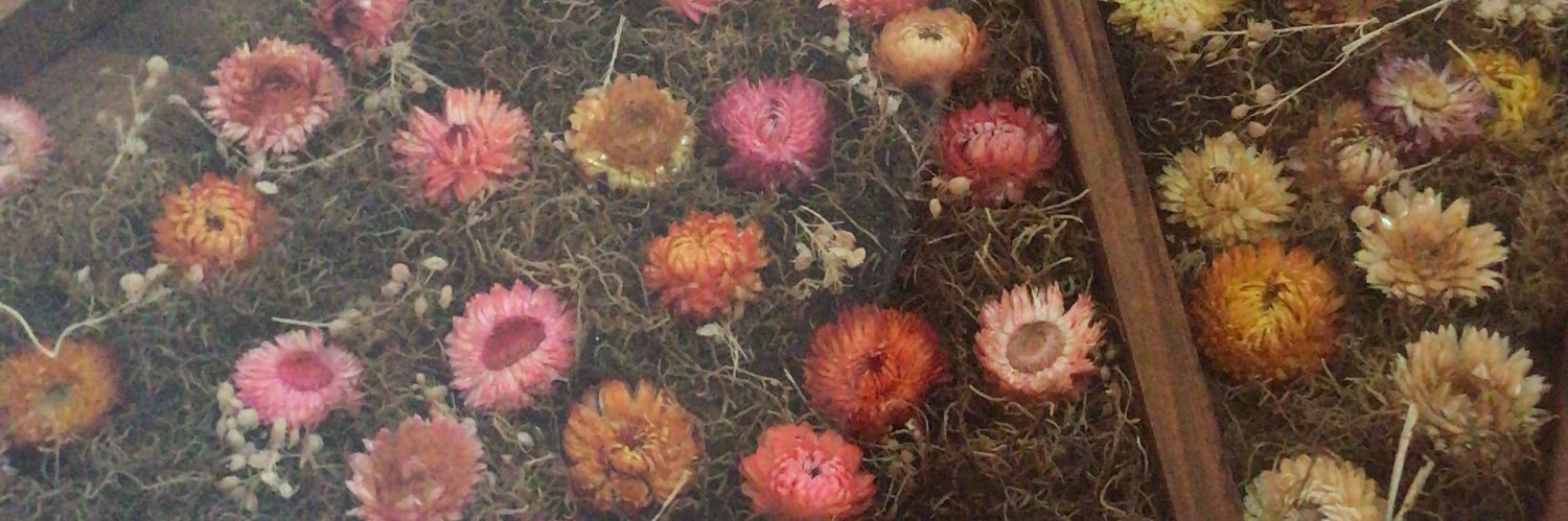 PisoniLuchi's profile banner image