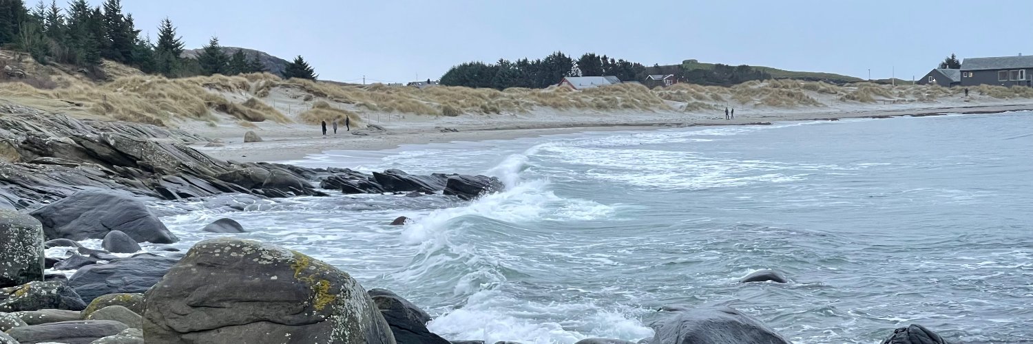 Endre Stølsvik banner