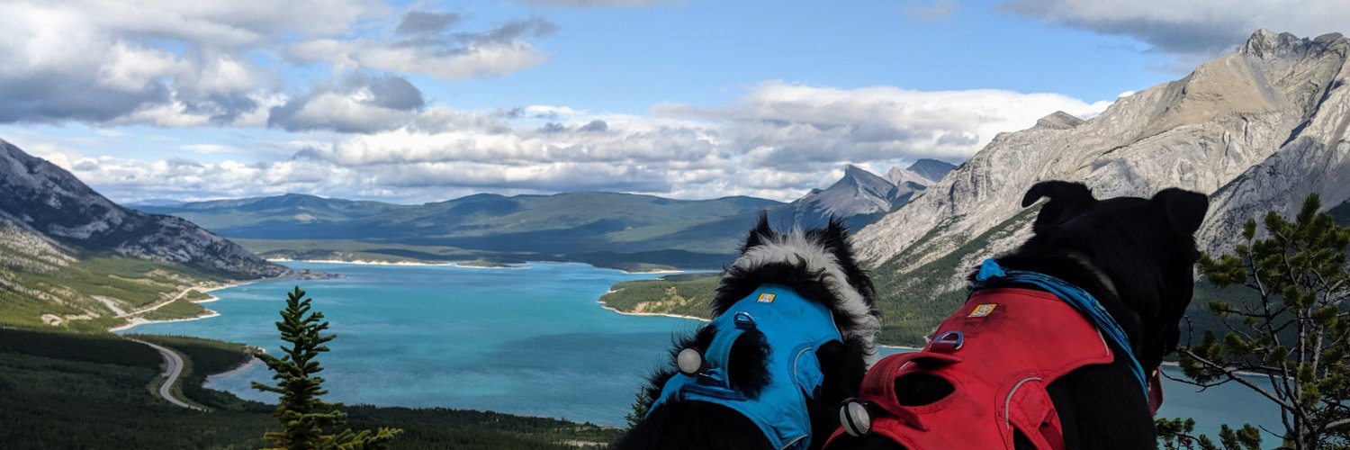 LJreports's profile banner image