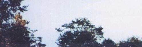 HannahMfk_'s profile banner image
