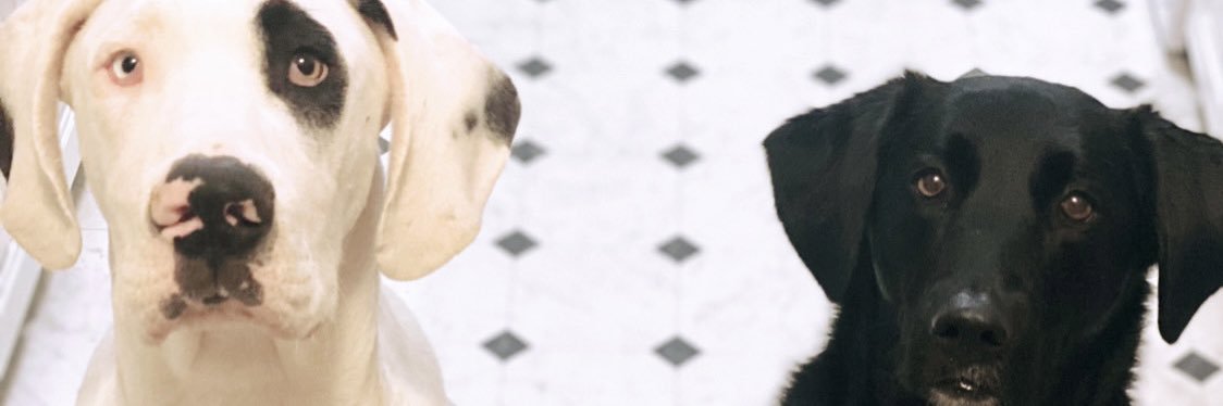 Crob_9's profile banner image