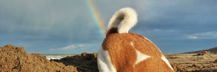katenaaaaaaa's profile banner image