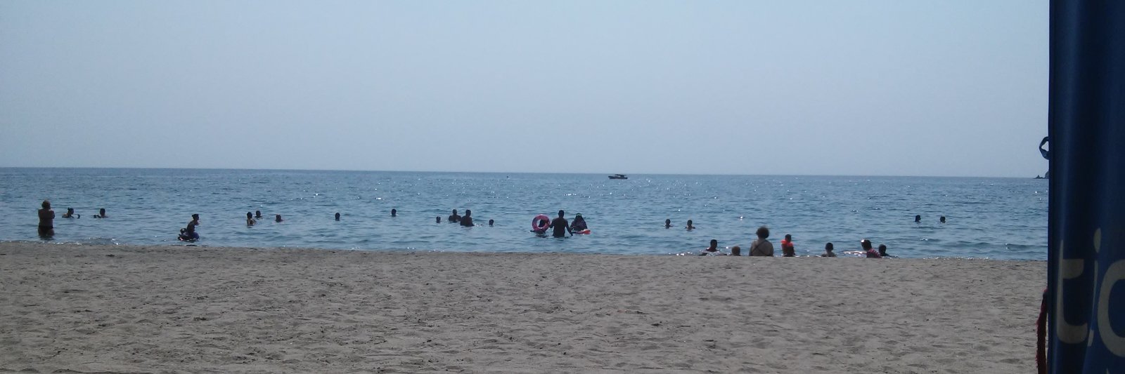 Luis Gonzaga Amaris banner